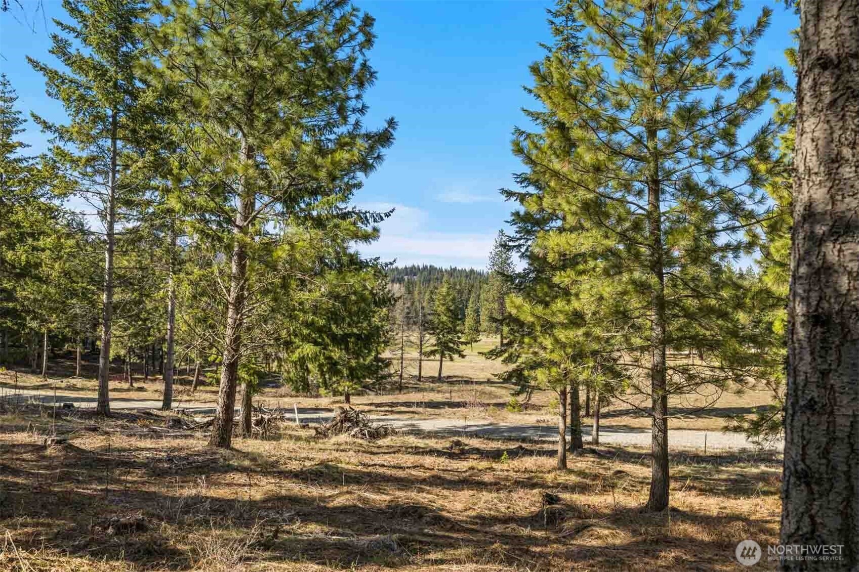 64 Liberty Bell Lane Cle Elum WA 98922