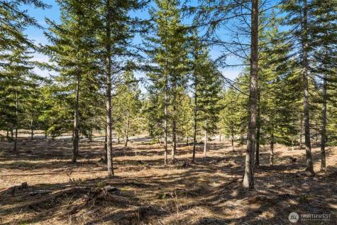 64 Liberty Bell Lane Cle Elum WA 98922