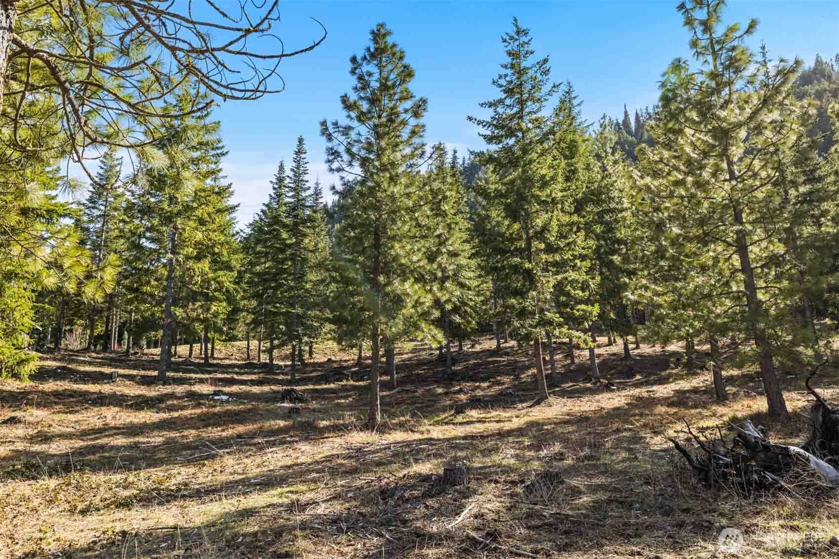 64 Liberty Bell Lane Cle Elum WA 98922