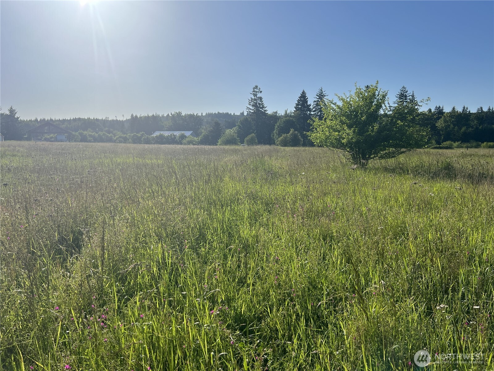 1899 State Route 506 Vader WA 98593