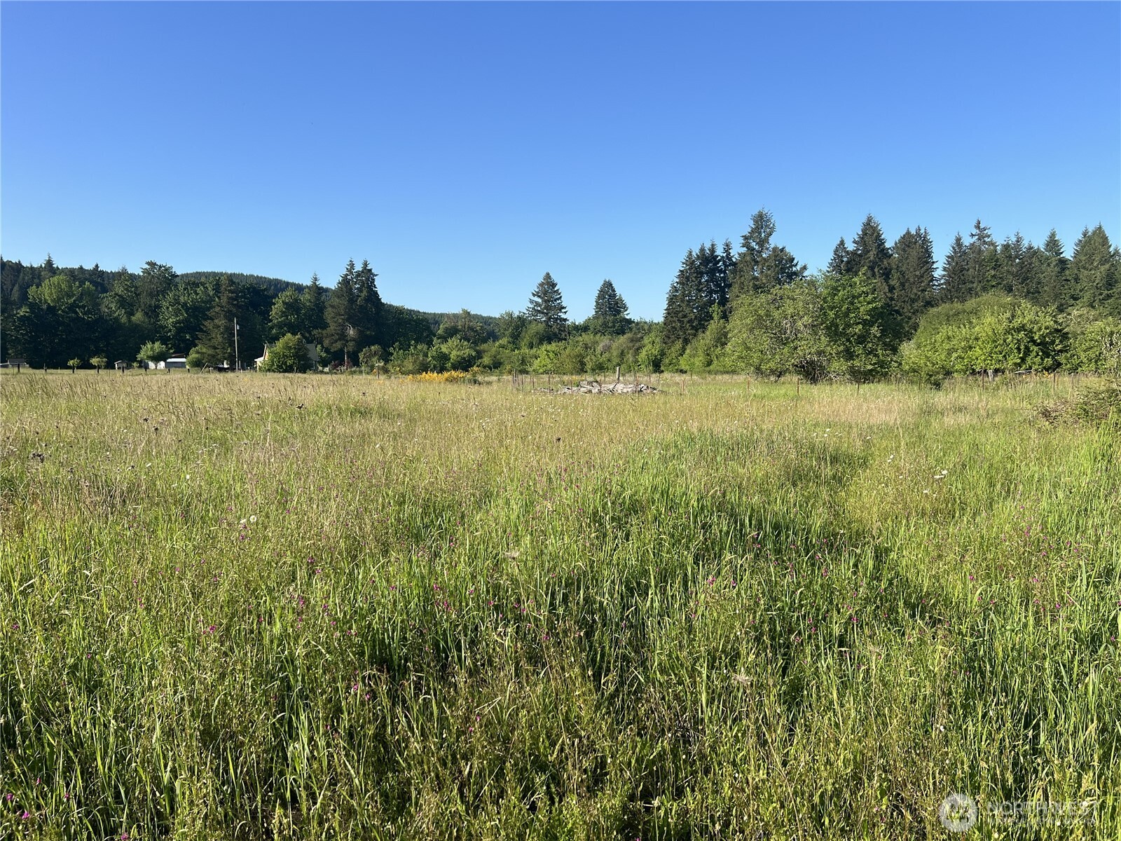 1899 State Route 506 Vader WA 98593