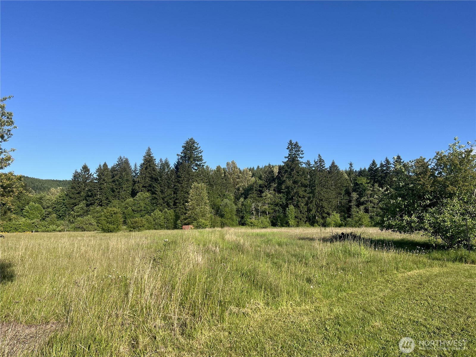 1899 State Route 506 Vader WA 98593
