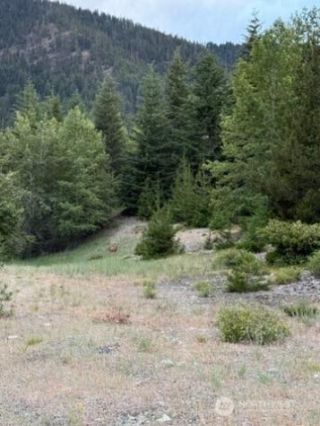 0 Fowler Creek Cle Elum WA 98922