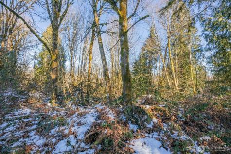 218 E Lost Lake Road Snohomish WA 98296