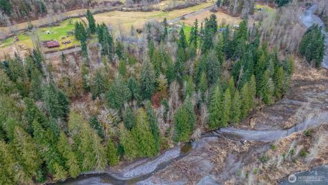 0 Mosquito Lake Road Deming WA 98244