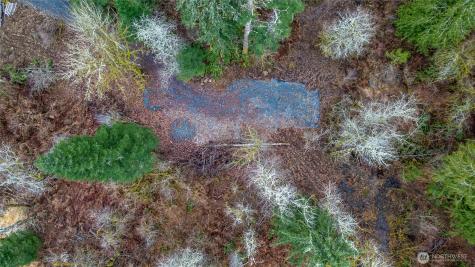 0 Mosquito Lake Road Deming WA 98244