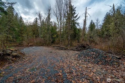 0 Mosquito Lake Road Deming WA 98244