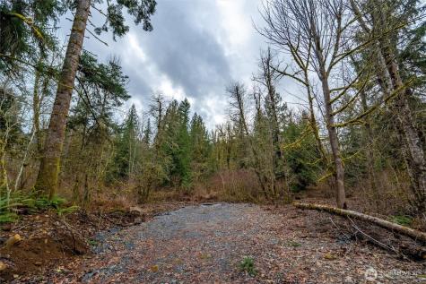 0 Mosquito Lake Road Deming WA 98244