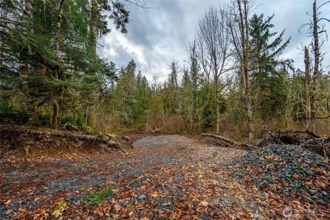 0 Mosquito Lake Road Deming WA 98244