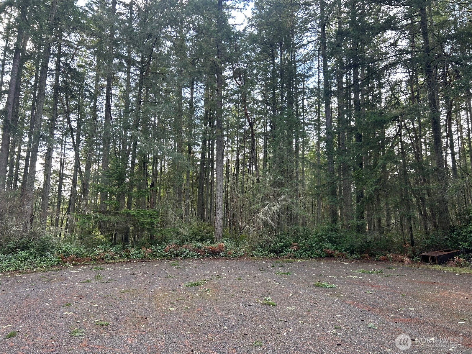 12918 E 101st Street Court Anderson Island WA 98303