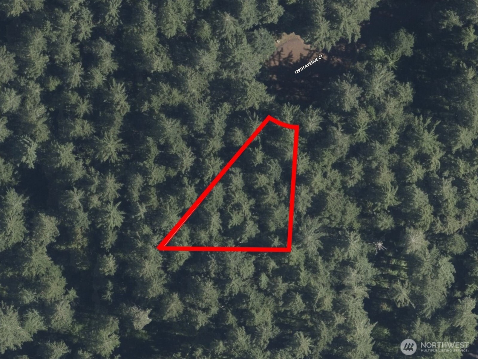 12918 E 101st Street Court Anderson Island WA 98303