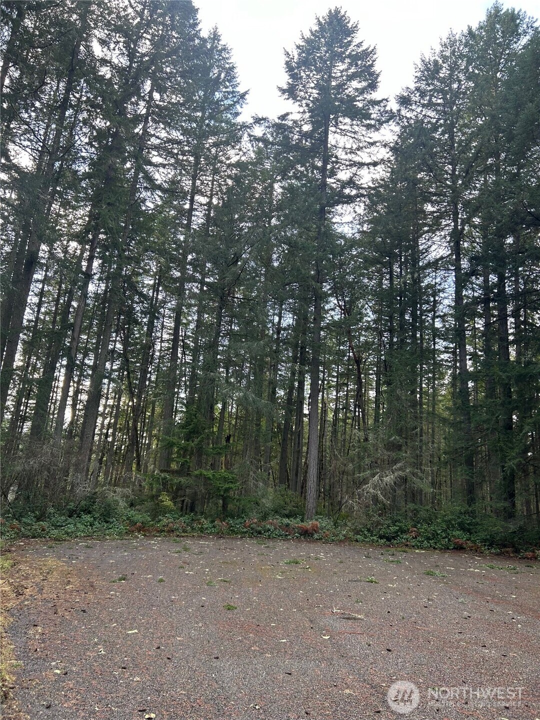 12918 E 101st Street Court Anderson Island WA 98303