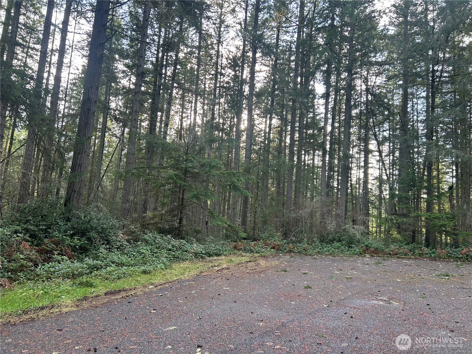 12918 E 101st Street Court Anderson Island WA 98303