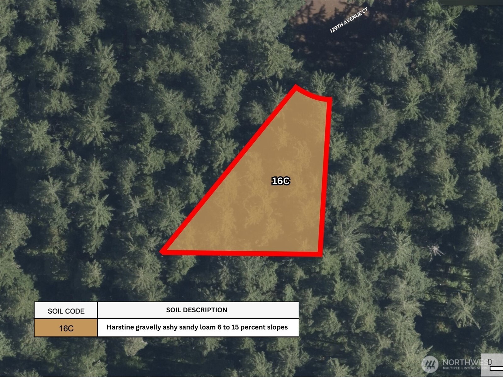 12918 E 101st Street Court Anderson Island WA 98303