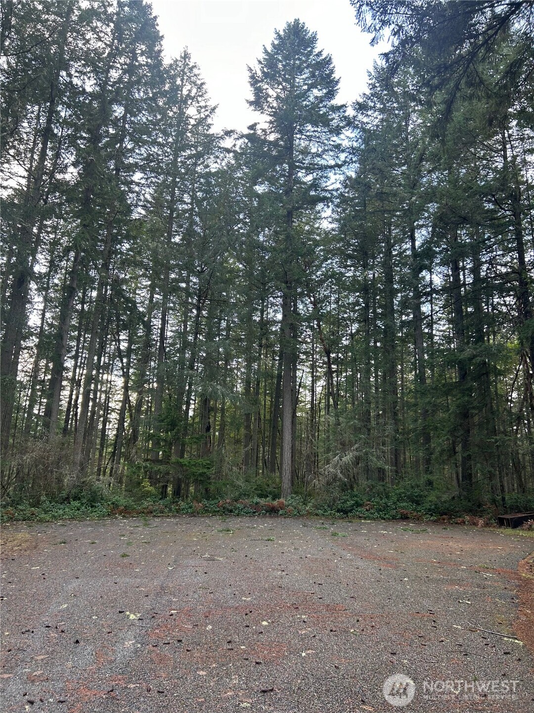 12918 E 101st Street Court Anderson Island WA 98303