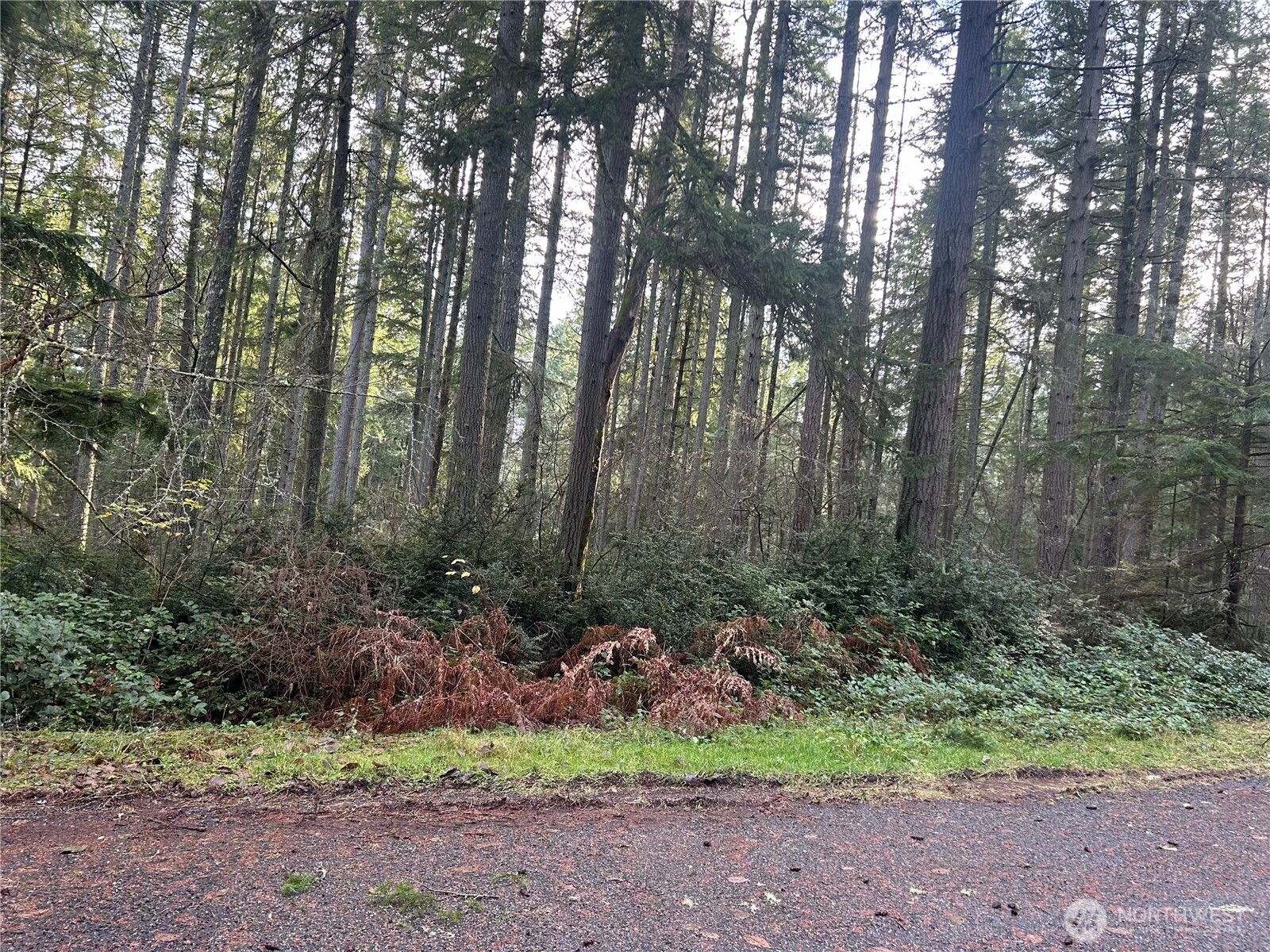 12918 E 101st Street Court Anderson Island WA 98303
