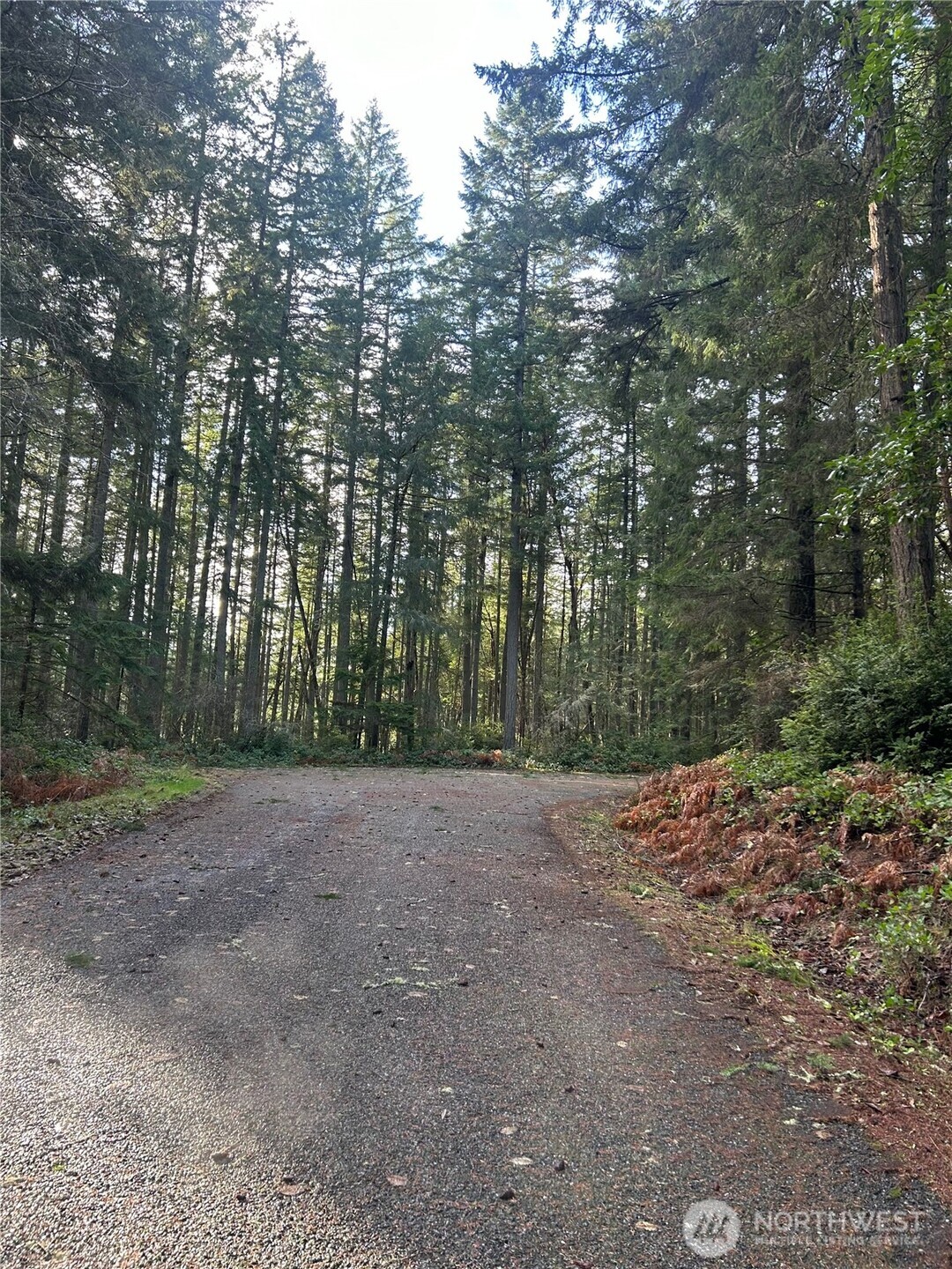 12918 E 101st Street Court Anderson Island WA 98303
