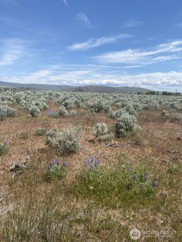 1160 Lester Road Ellensburg WA 98926