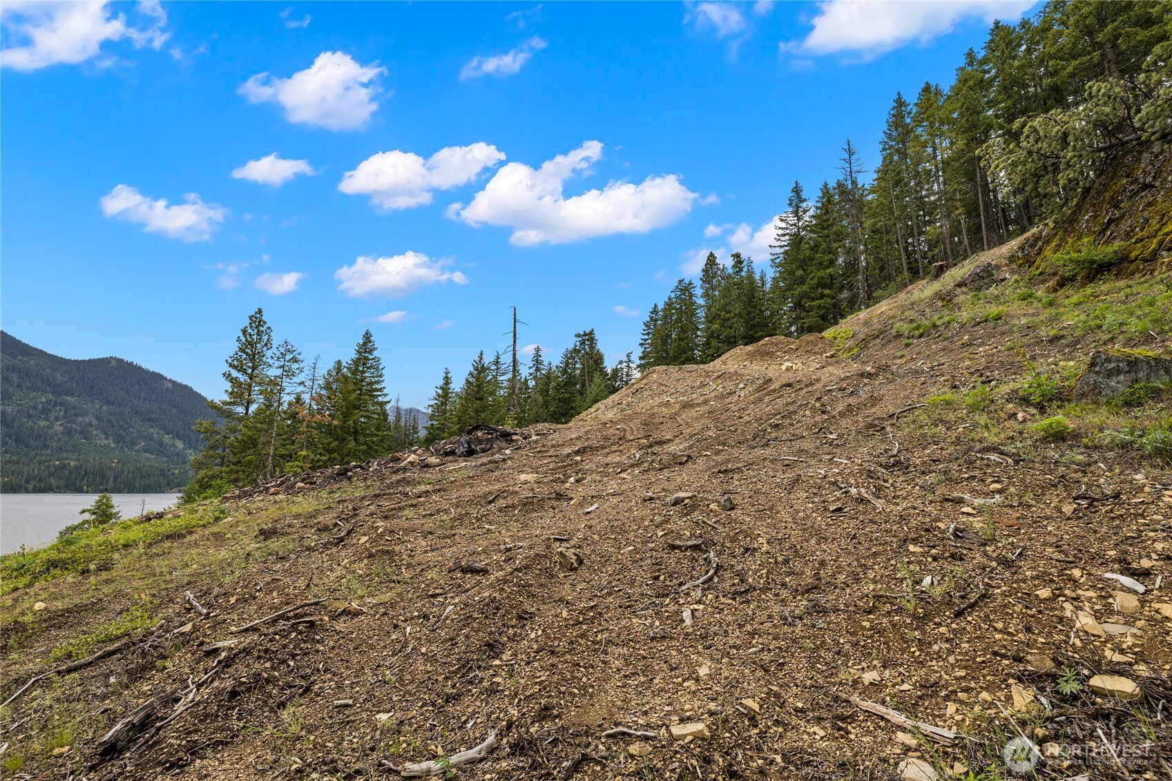 0 Morgan Creek Ronald WA 98940