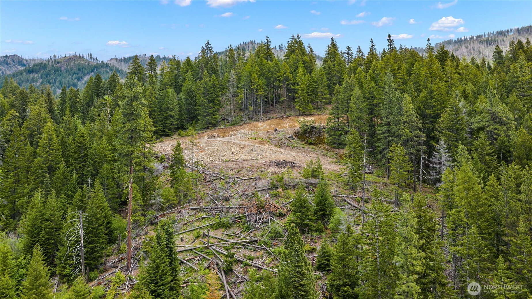 0 Morgan Creek Ronald WA 98940