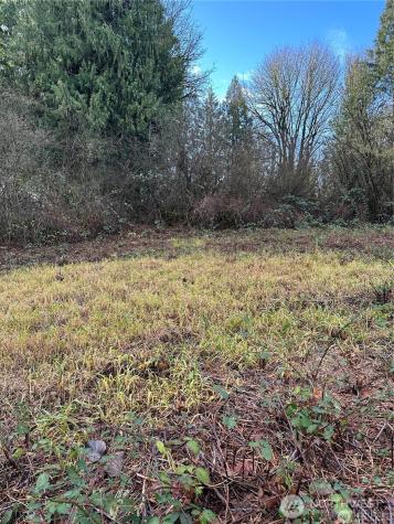 0 121st Avenue SE Snohomish WA 98290