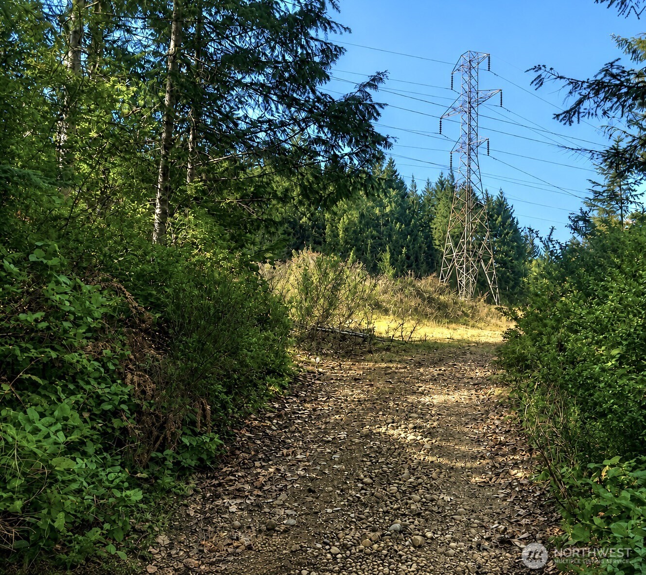 7611 N Triton Heights Road Lilliwaup WA 98555