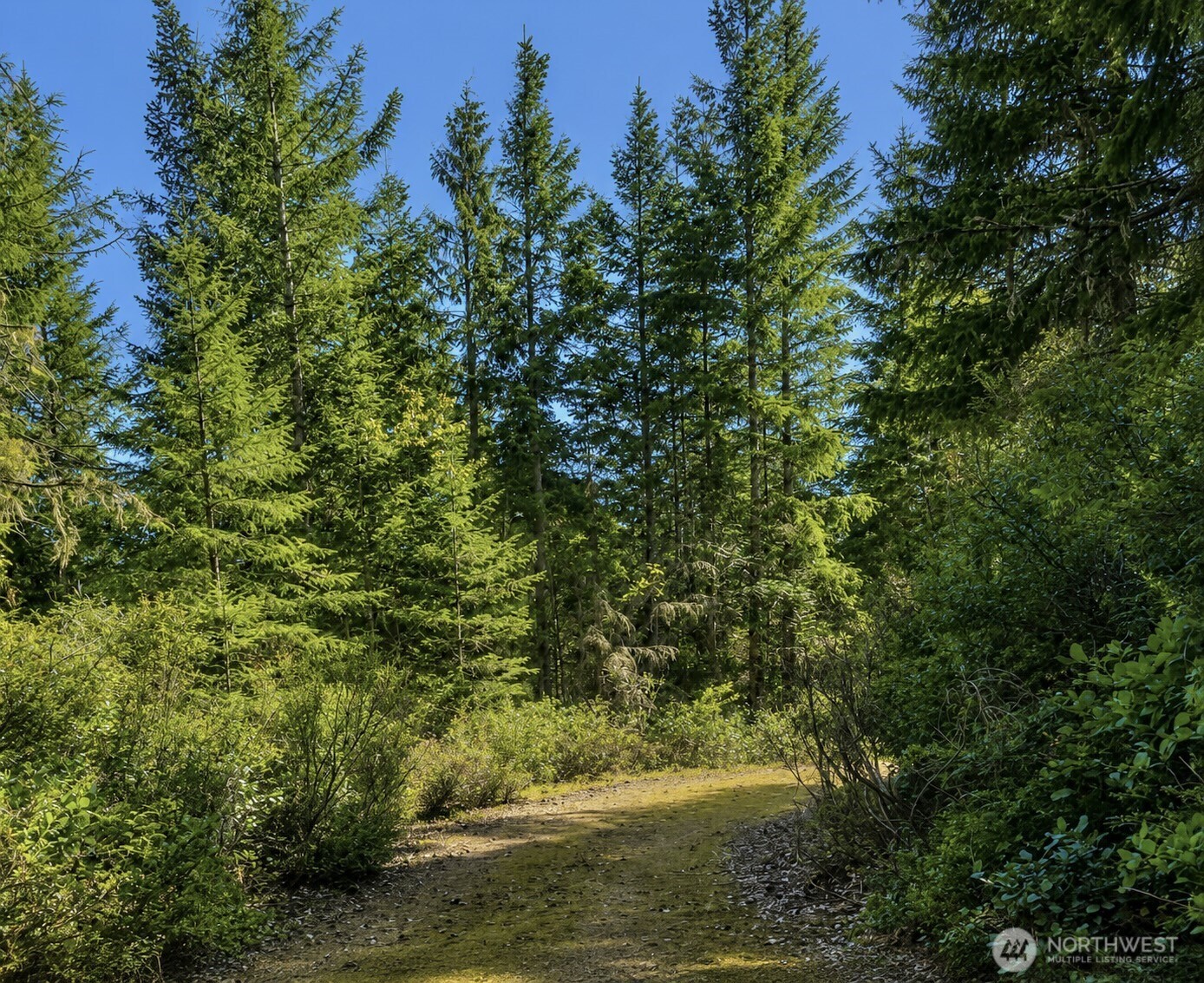 7611 N Triton Heights Road Lilliwaup WA 98555