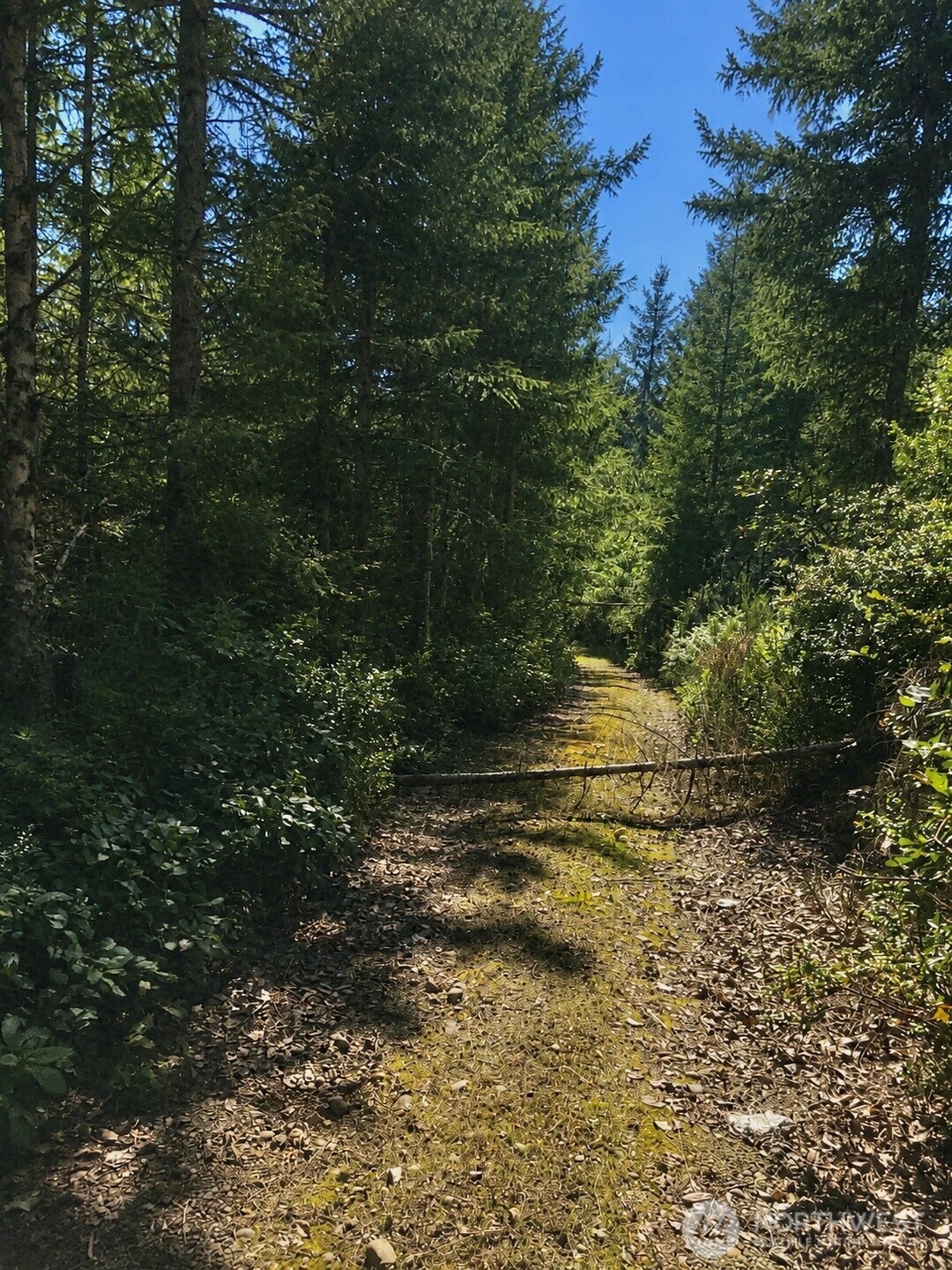7611 N Triton Heights Road Lilliwaup WA 98555