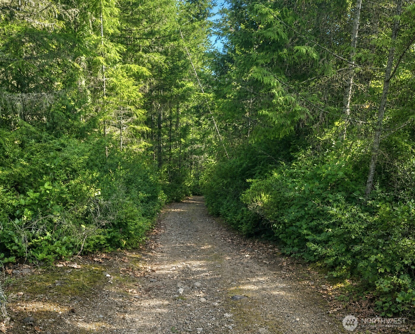 7611 N Triton Heights Road Lilliwaup WA 98555
