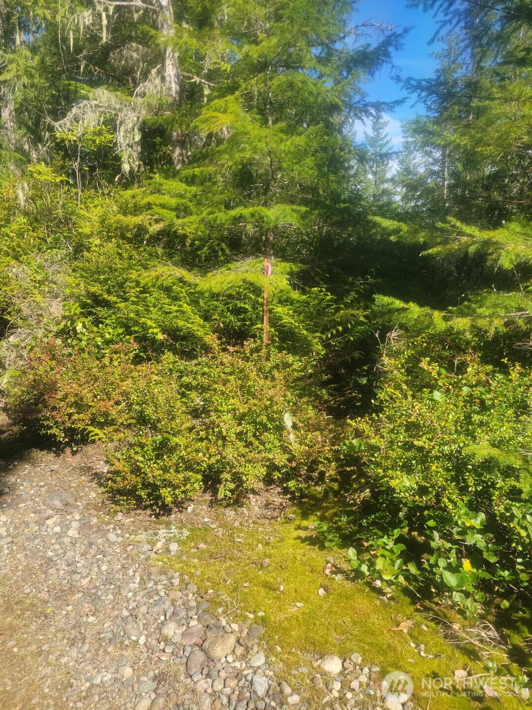 7611 N Triton Heights Road Lilliwaup WA 98555