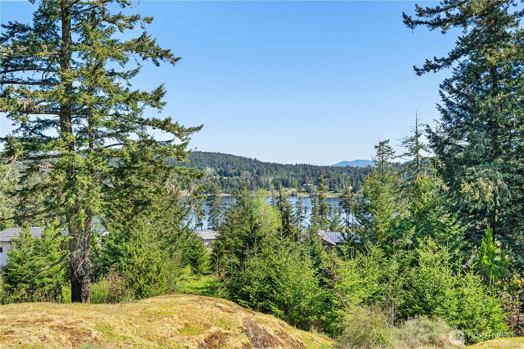 0 Woodpecker Lane Friday Harbor WA 98250