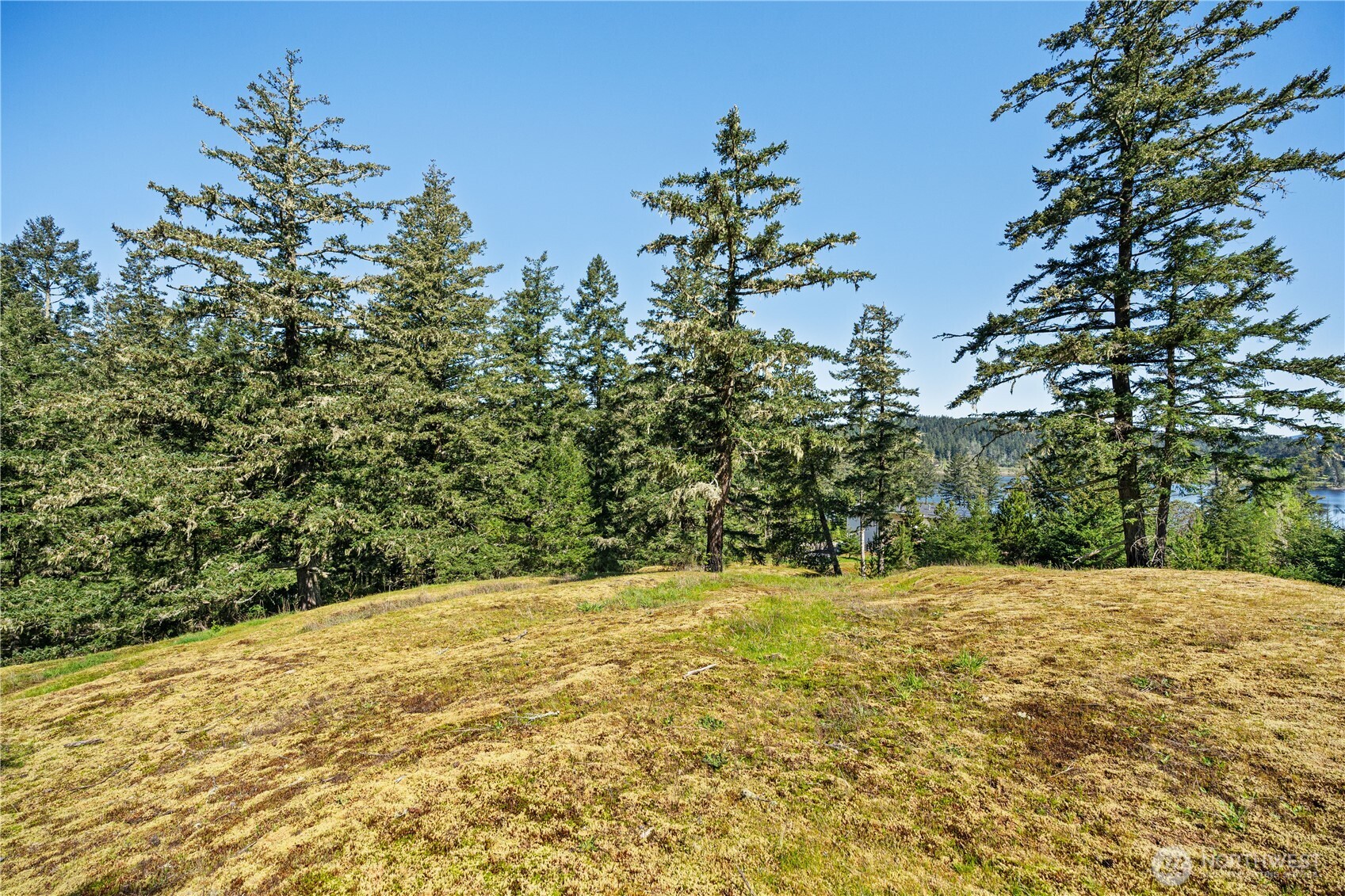 0 Woodpecker Lane Friday Harbor WA 98250