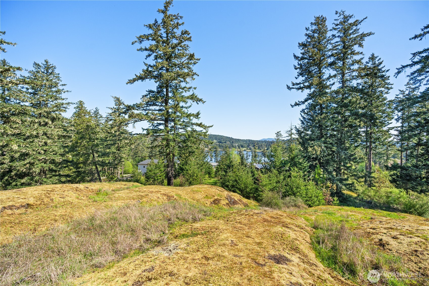 0 Woodpecker Lane Friday Harbor WA 98250