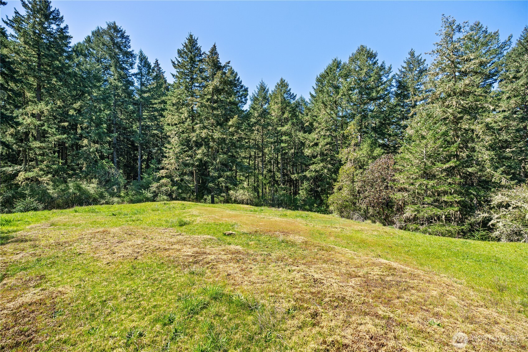 0 Woodpecker Lane Friday Harbor WA 98250