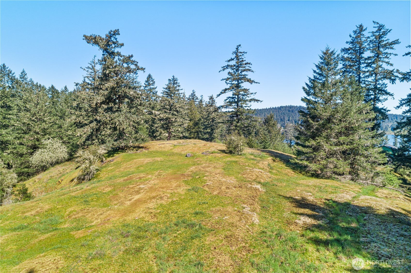 0 Woodpecker Lane Friday Harbor WA 98250