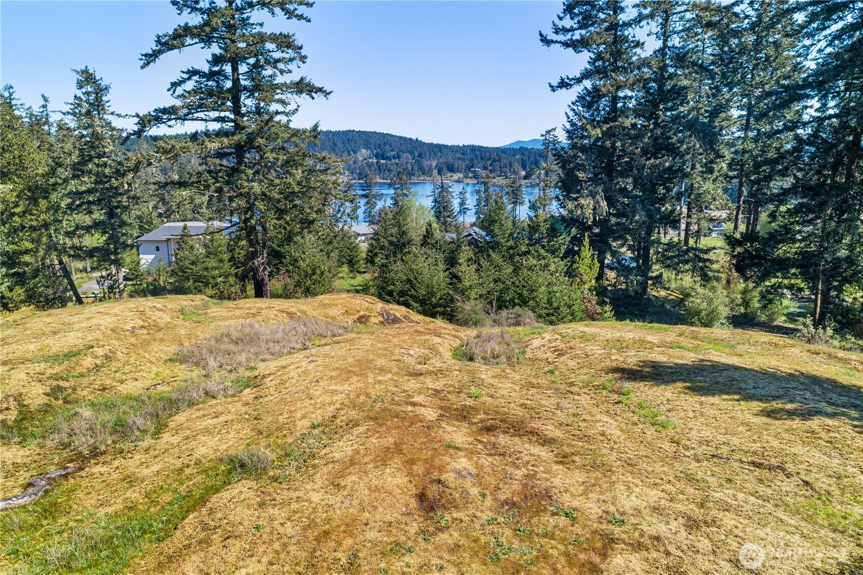 0 Woodpecker Lane Friday Harbor WA 98250