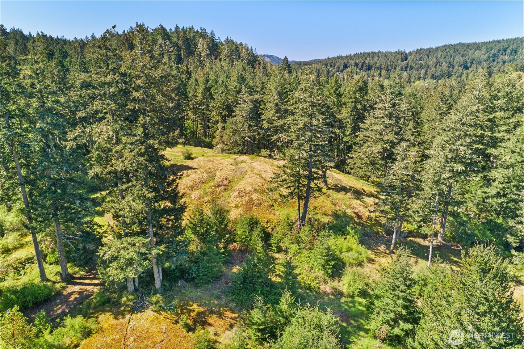0 Woodpecker Lane Friday Harbor WA 98250