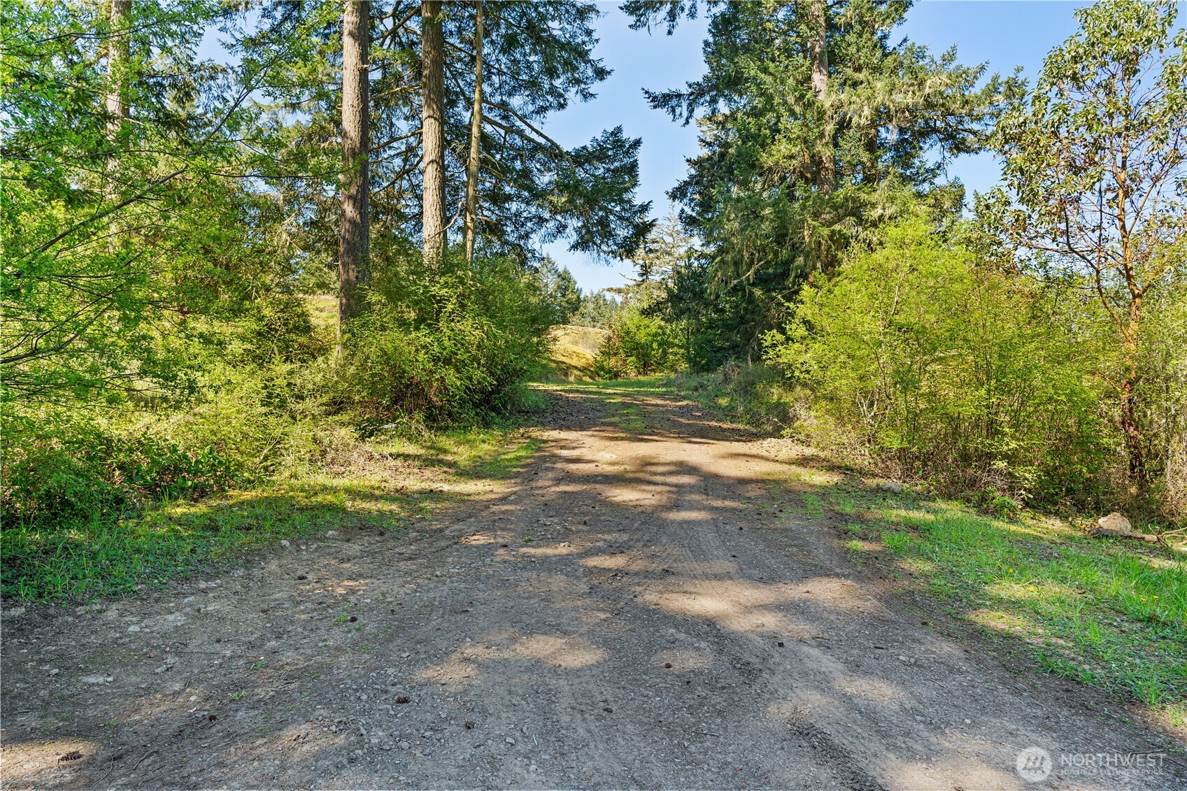 0 Woodpecker Lane Friday Harbor WA 98250