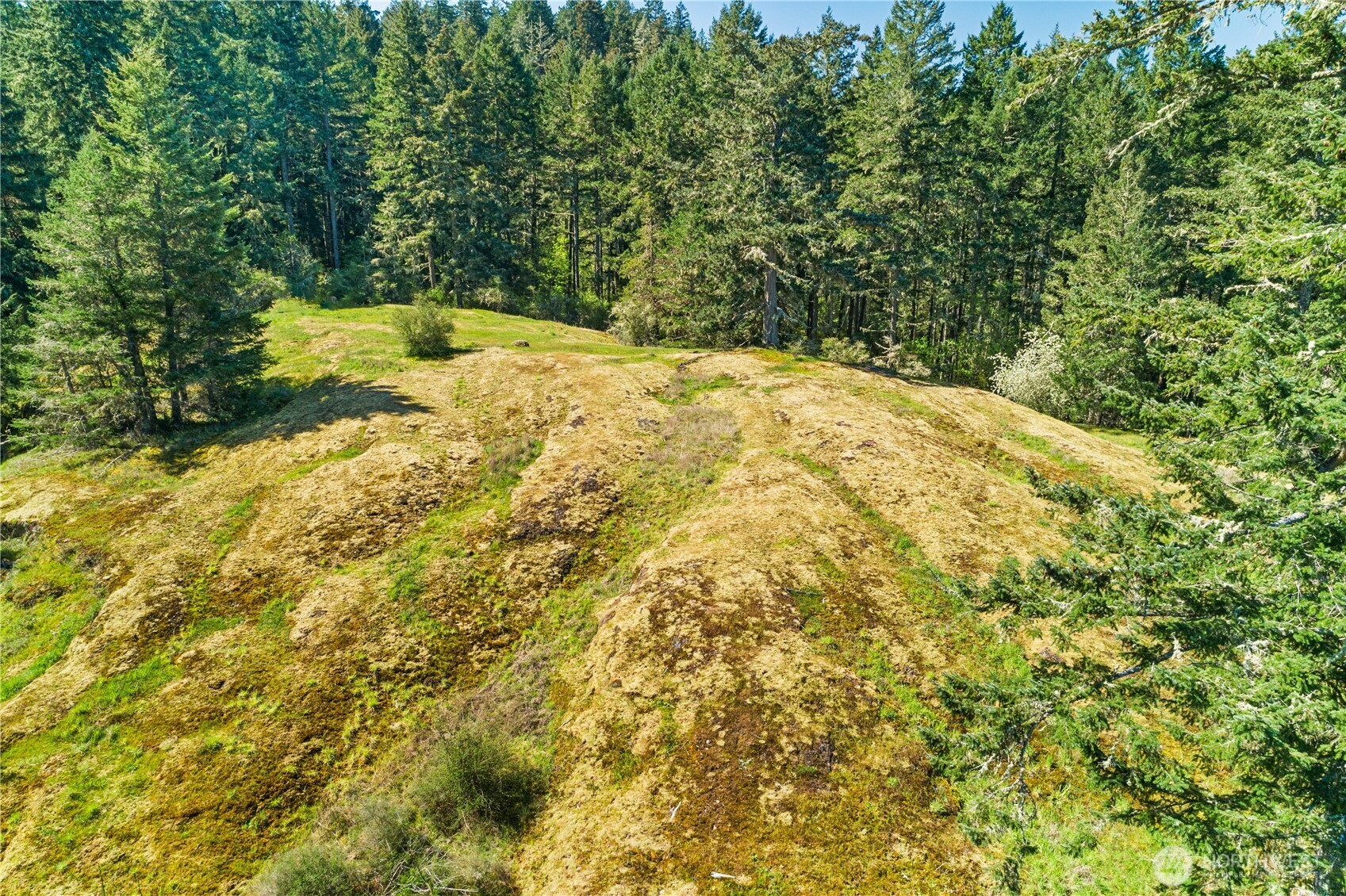0 Woodpecker Lane Friday Harbor WA 98250