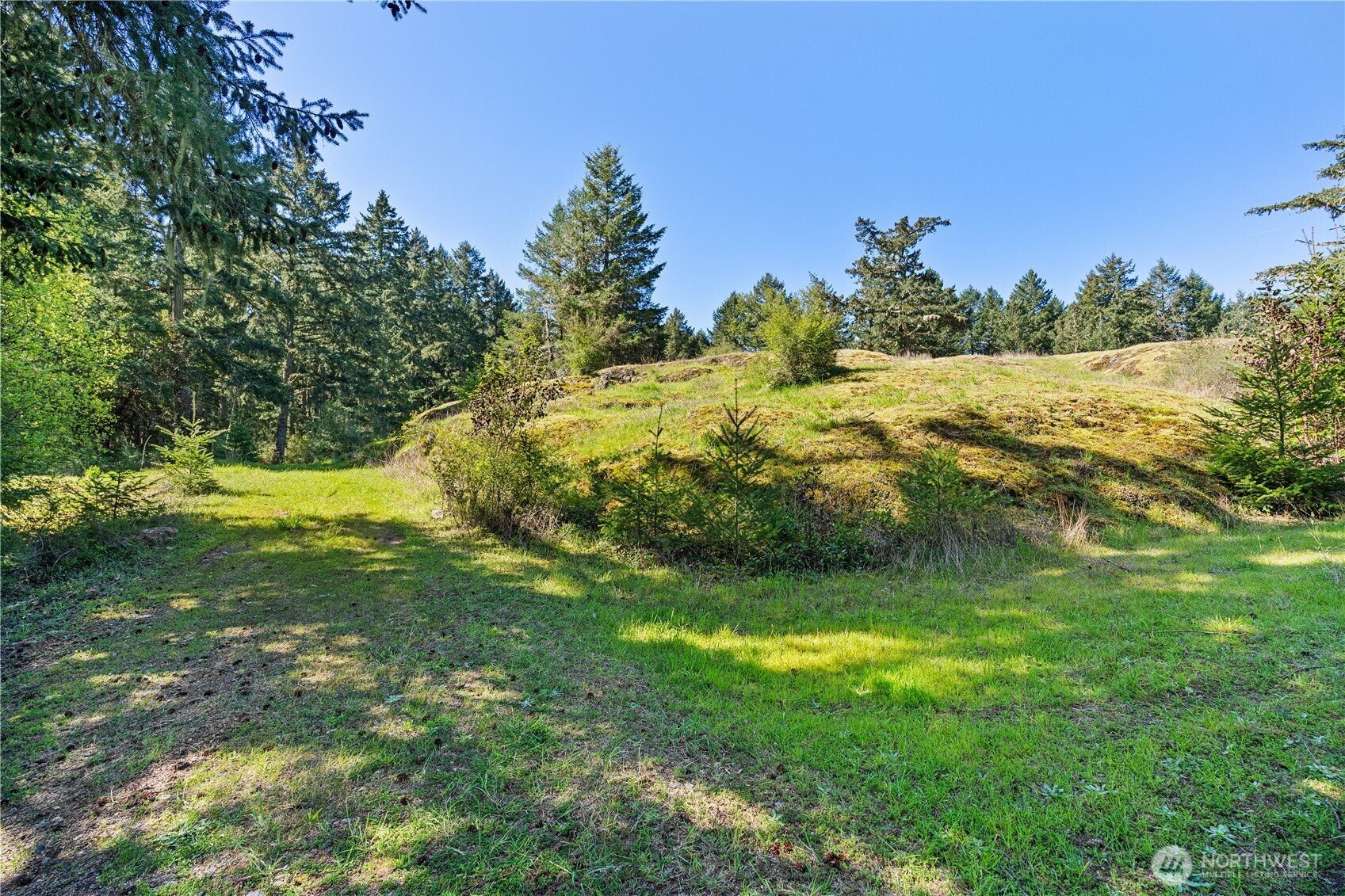 0 Woodpecker Lane Friday Harbor WA 98250