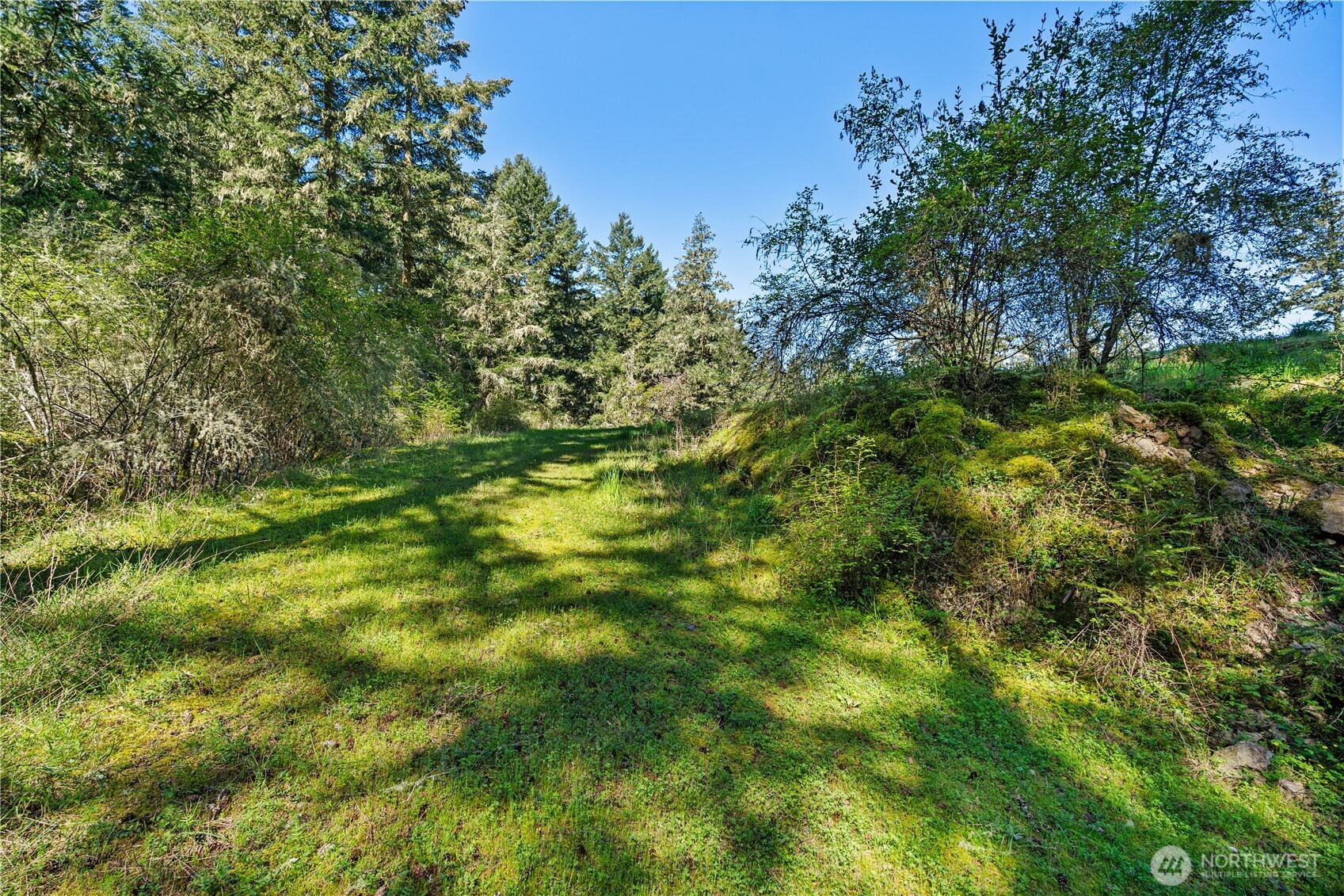 0 Woodpecker Lane Friday Harbor WA 98250