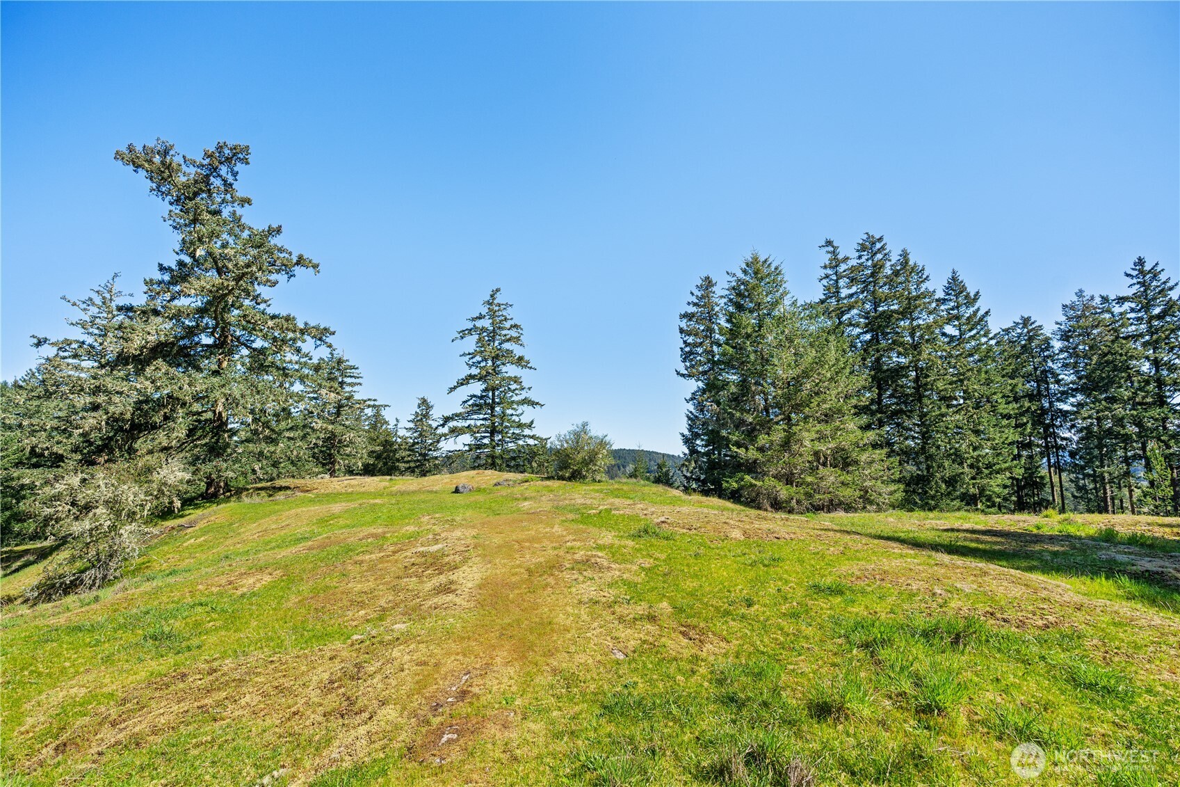 0 Woodpecker Lane Friday Harbor WA 98250