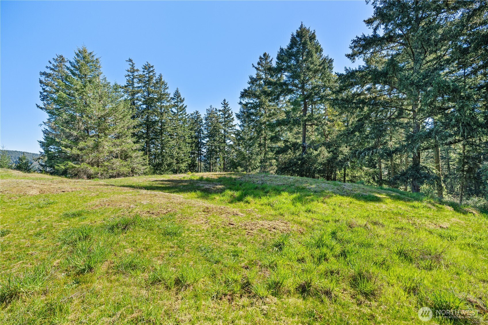 0 Woodpecker Lane Friday Harbor WA 98250