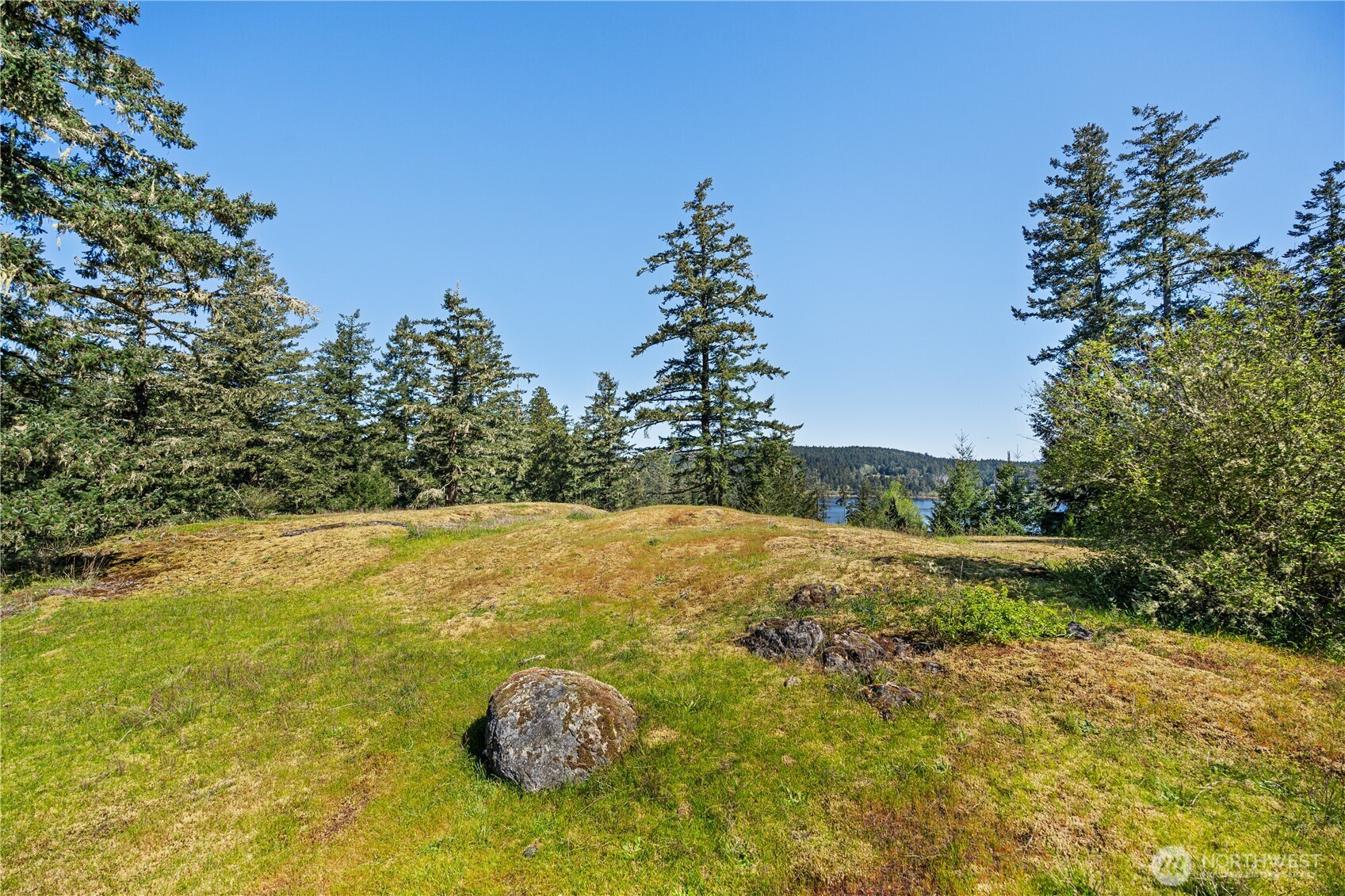 0 Woodpecker Lane Friday Harbor WA 98250