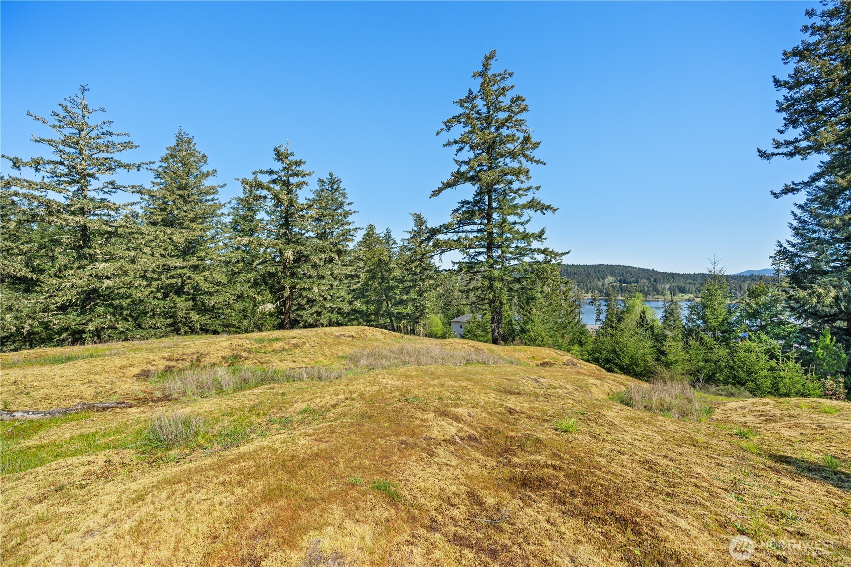 0 Woodpecker Lane Friday Harbor WA 98250