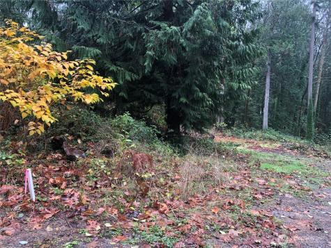 20594 Alder Street NE Indianola WA 98342