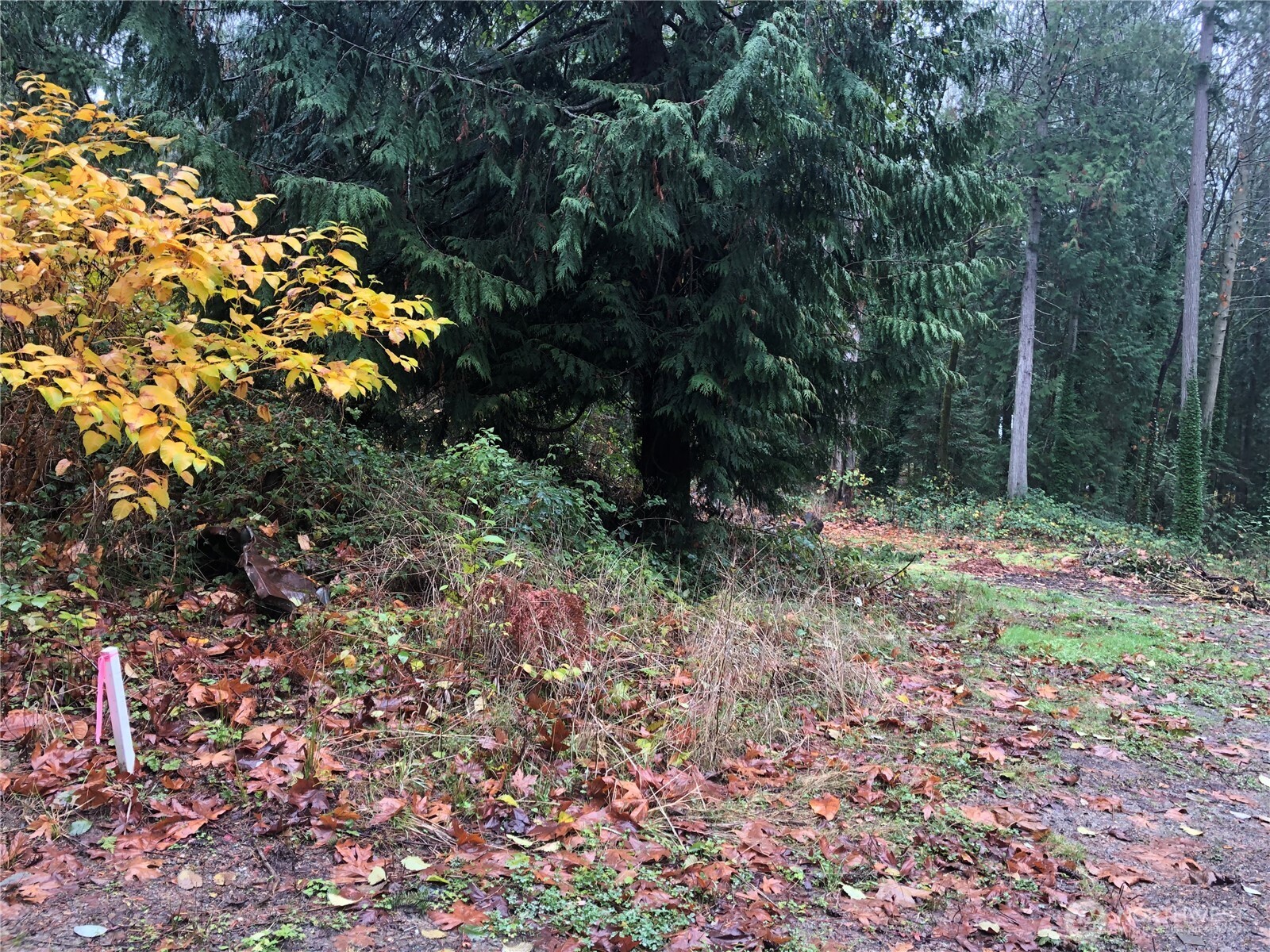 20594 Alder Street NE Indianola WA 98342