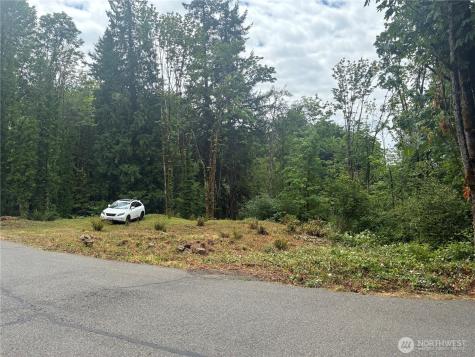 8 136th Avenue SE Newcastle WA 98059