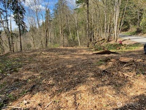 8 136th Avenue SE Newcastle WA 98059