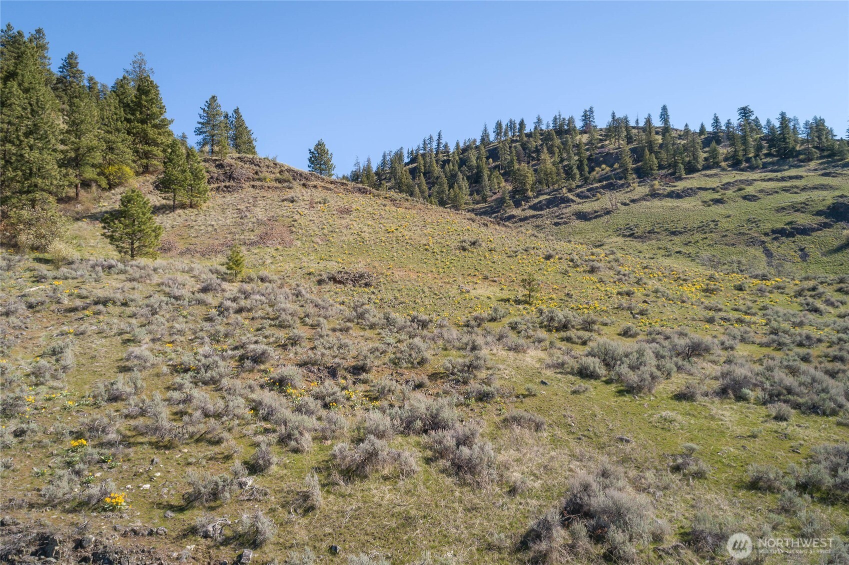 1 Whiskey Mountain Ranches Tonasket WA 98855